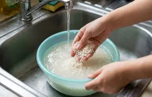 Cara Mencuci Beras Berkutu yang Penuh Serbuk Putih, Trik Bilas Bersih agar Nasi Tetap Pulen dan Tidak Apek