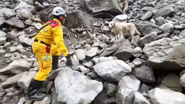 Misi pencarian korban gempa Taiwan oleh anjing penyelamat. (Dok. Pemadam Kebakaran Hualien via AFP)