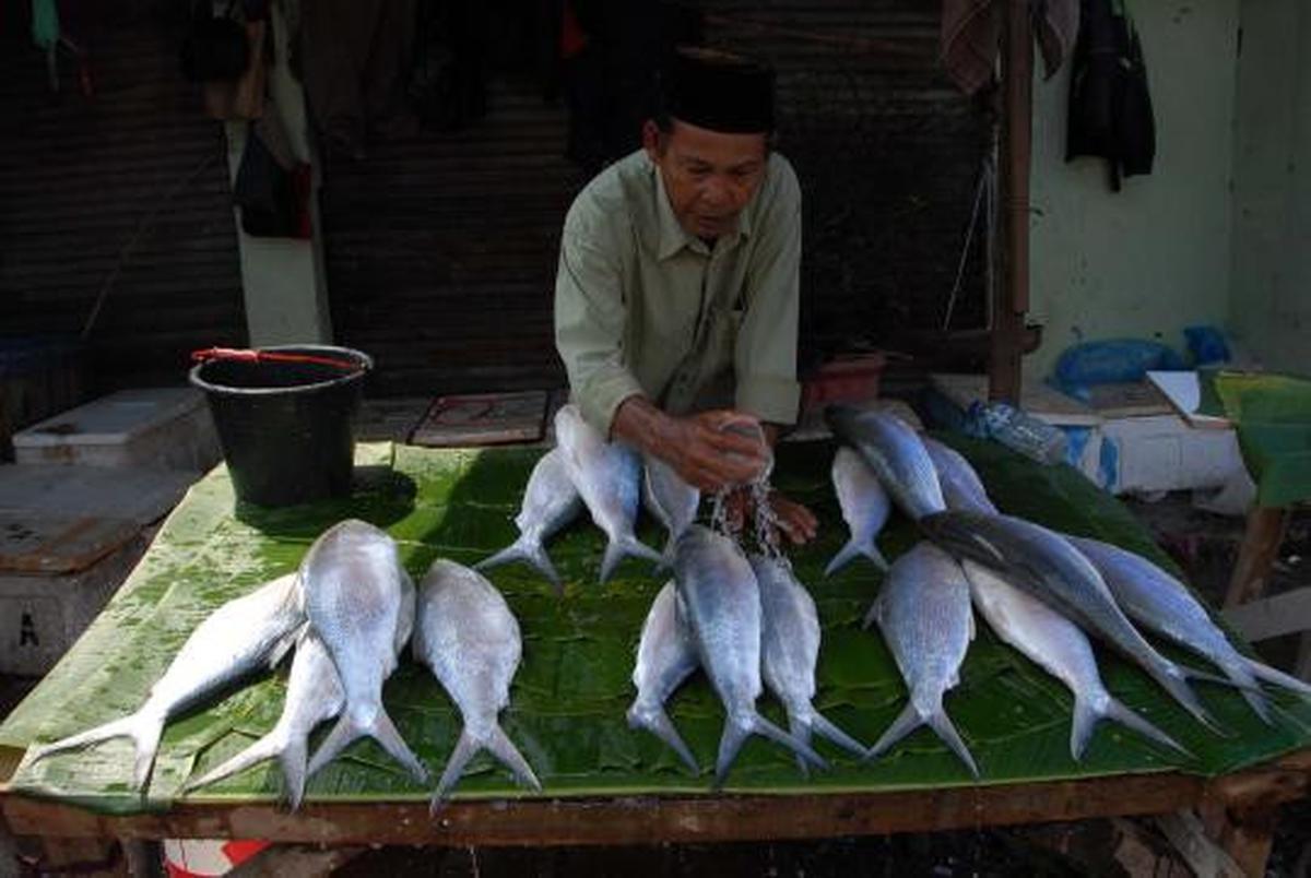 Jelang Imlek, harga Ikan Bandeng mengalami kenaikan