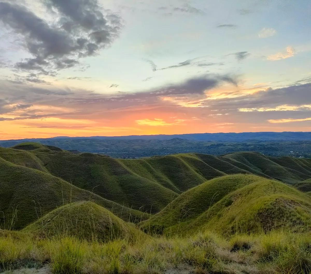 2. Bukit Tenau
Berada di Sumba Timur, sekitar 15 km dari kota Waingapu. Bukit ini menawarkan sabana nan menghijau saat musim hujan dan bukit-bukit kecil yang magic saat sunset. Begitu indah!