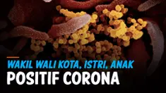 THUMBNAIL CORONA