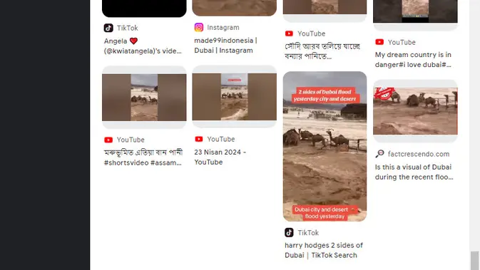 <p>Cek Fakta Liputan6.com menelusuri klaim video unta hanyut saat banjir di Dubai.</p>.html