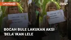 Beredar video viral terkait seorang bocah bule yang lakukan aksi unik. Kejadian ini berada di daerah Mengwi, Badung, Bali