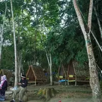 Pemanfaatan Hutan Berkelanjutan di Kaltim Hasilkan Nilai Ekonomi