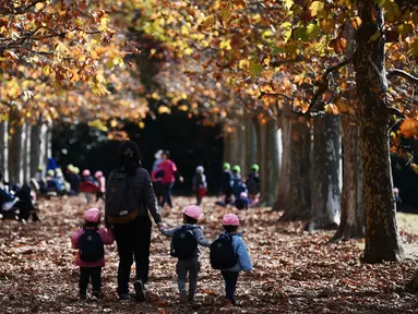 Seorang wanita bersama tiga anaknya berjalan di bawah dedaunan musim gugur ketika mereka menikmati cuaca di Gyoen Park di Tokyo (5/12/2019). Taman Nasional Shinjuku Gyoen adalah sebuah taman yang besar di area Shinjuku dan Shibuya, Tokyo, Jepang. (AFP/Charly Triballeau)