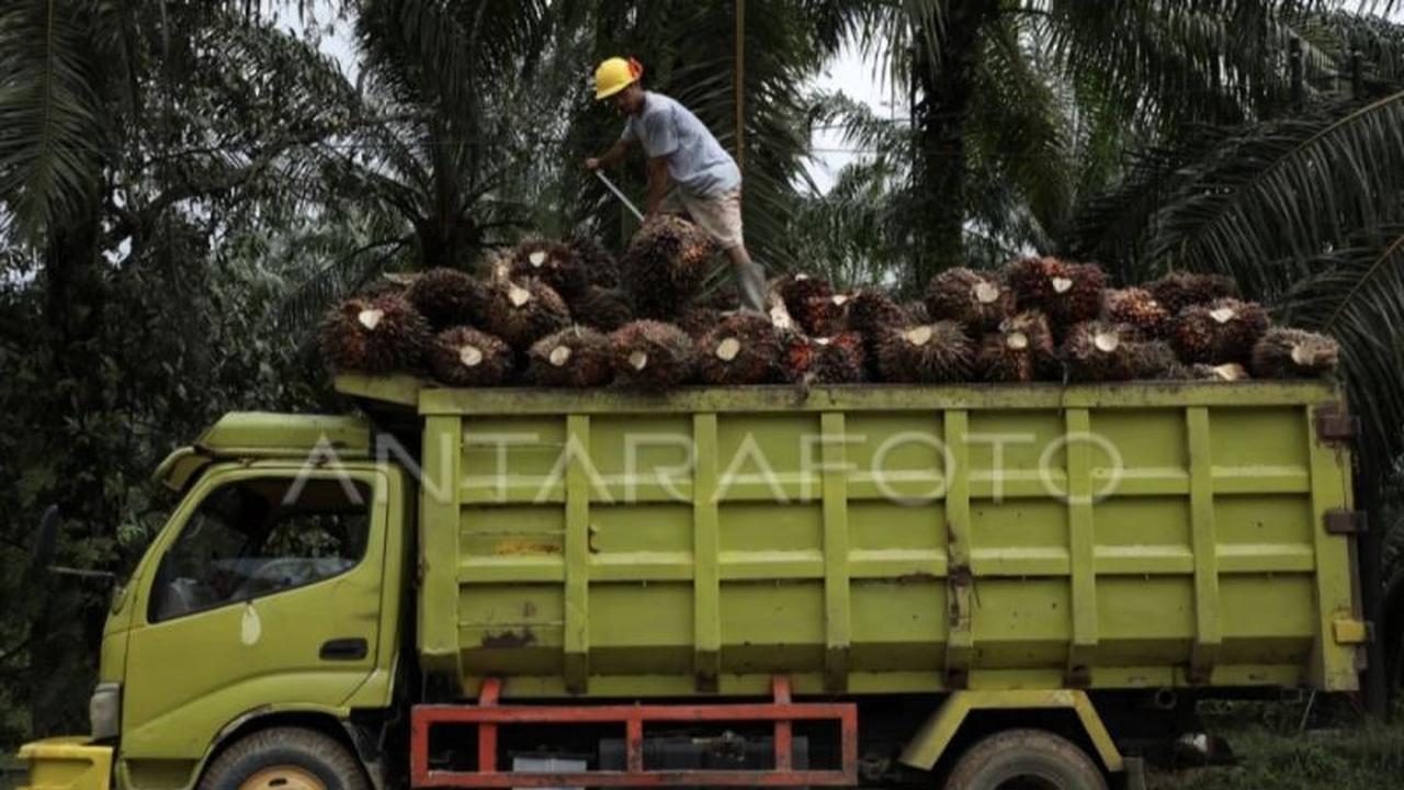 UMP Kalteng 2026 Resmi Naik Rp212 Ribu, Jadi Rp3,6 Juta Lebih