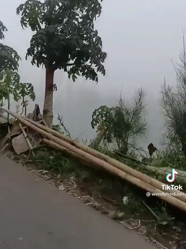 Diarahkan Google Maps Belok Kanan ke Jurang,