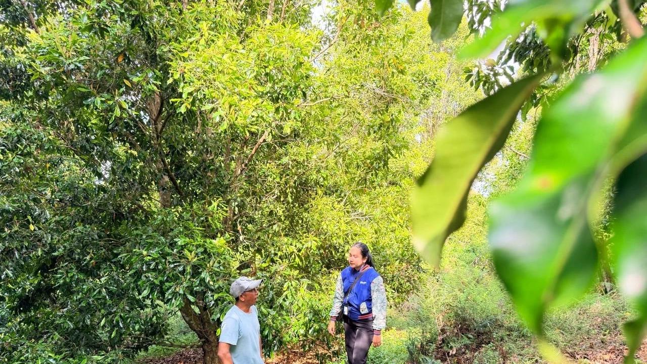 BRI Perkuat Ketahanan Pangan dan Ekonomi Kerakyatan
