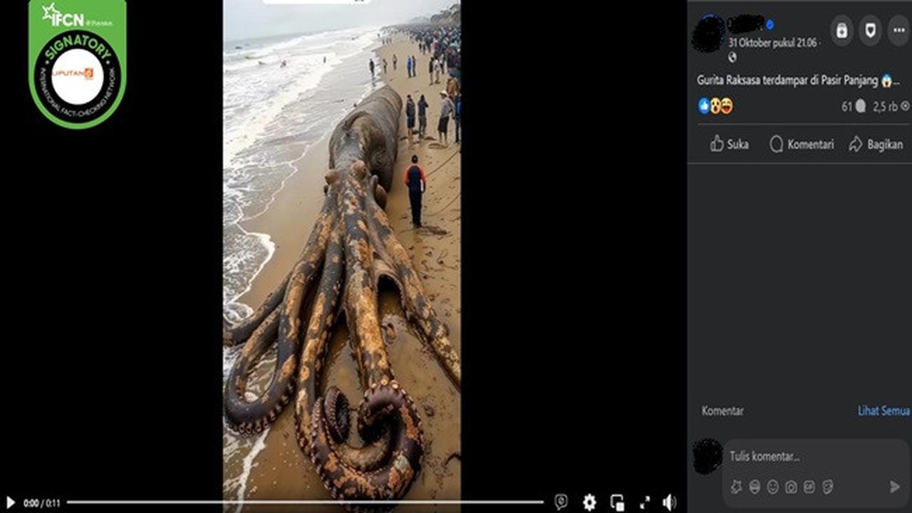 Gambar tangkapan layar video yang diklaim gurita raksasa terdampar di Pasir Panjang, Singkawang, Kalimantan Barat. (sumber: Facebook)