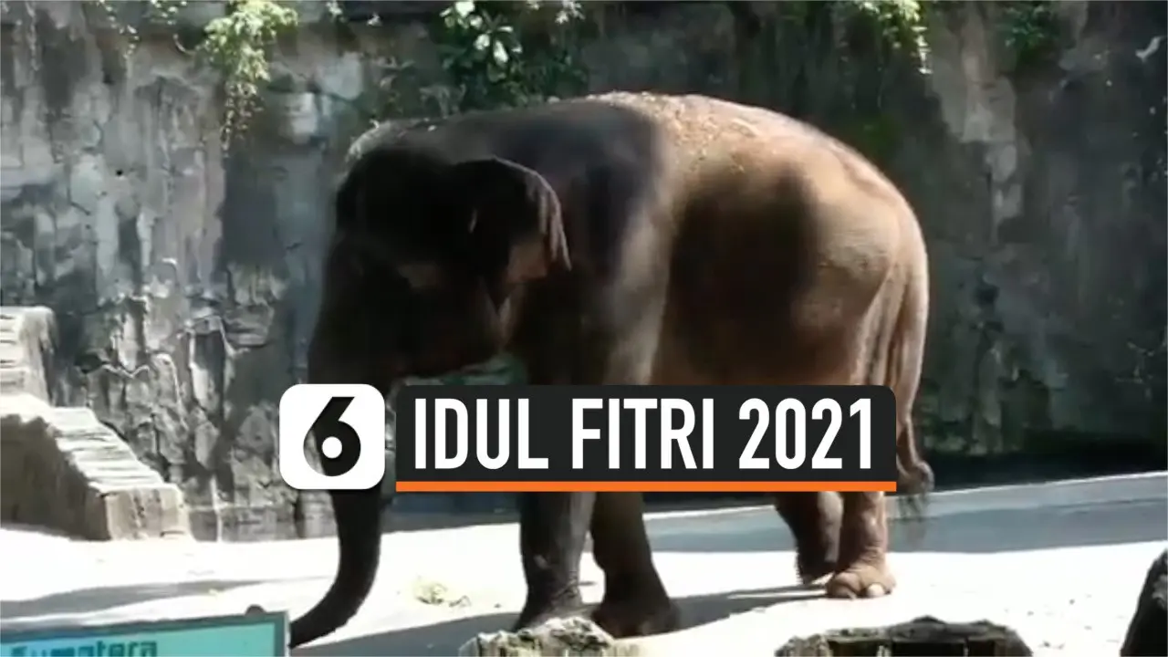 THUMBNAIL RAGUNAN