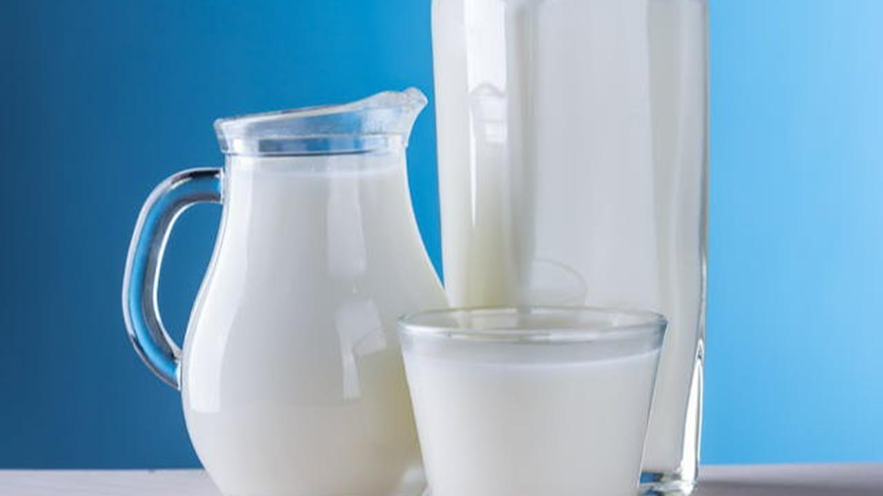 Cuma Satu Bahan, Ini Kunci Minuman Andalan untuk Bina Otot