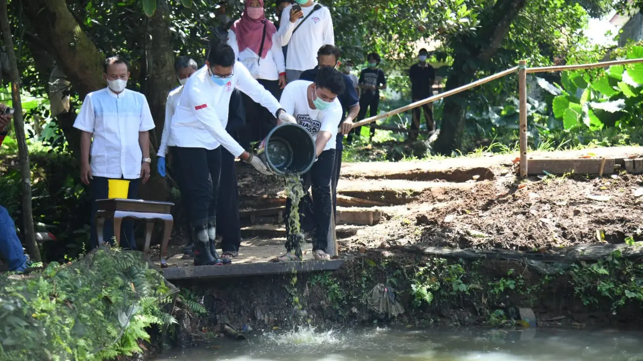 Petani