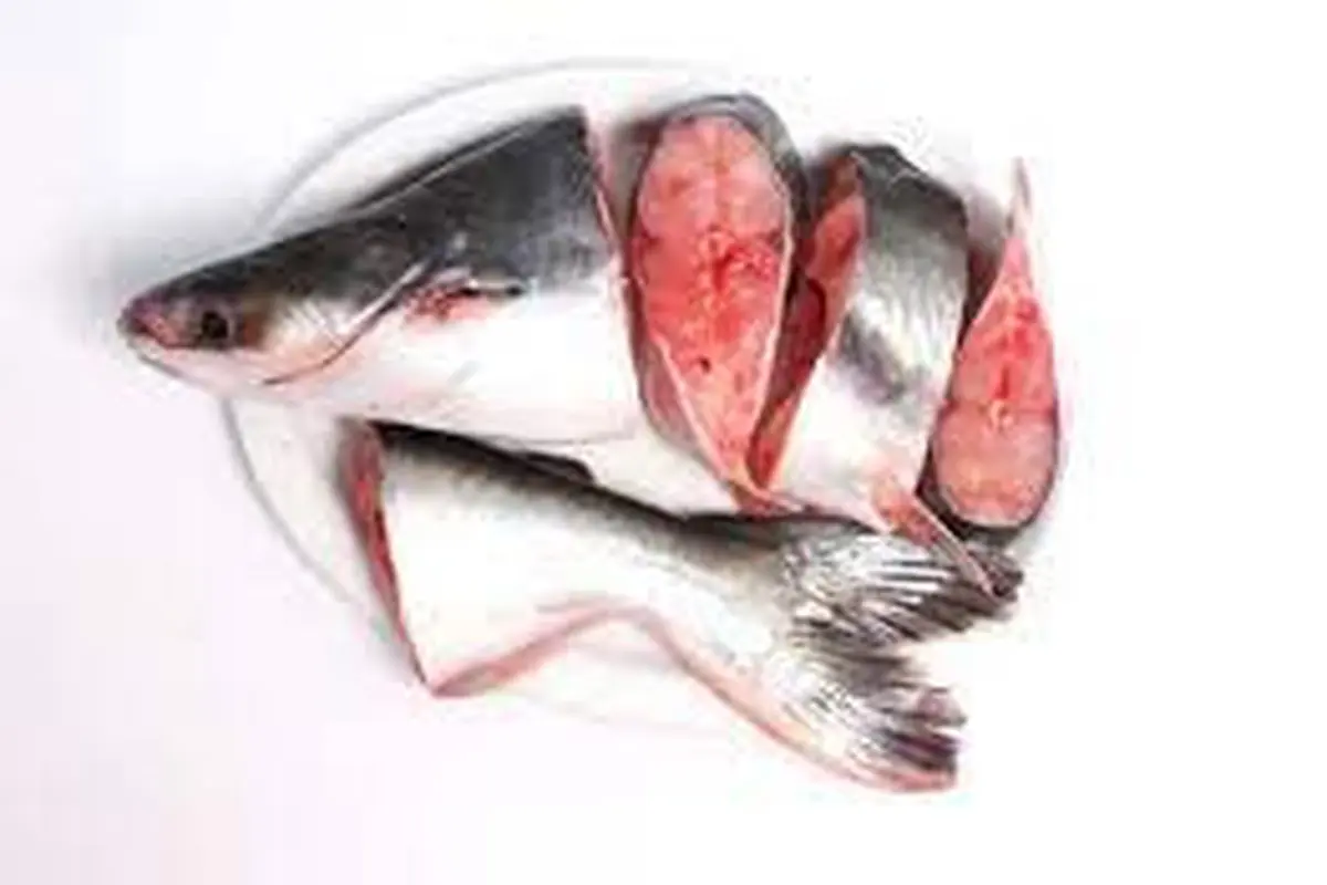 Trik Menghilangkan Aroma Lumpur pada Ikan Patin dengan Bahan Sederhana