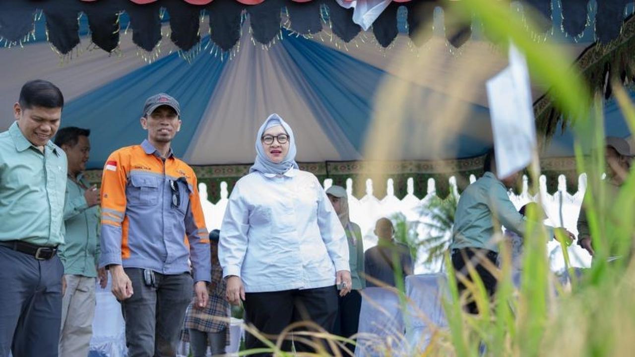Kemenko Pangan Harap Kolaka Jadi Lumbung Pangan Sultra, Dukung Swasembada Beras Nasional