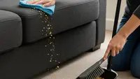 10 Tips Menghilangkan Remah Kue di Sofa dan Karpet dengan Cepat Tanpa Vacuum Cleaner