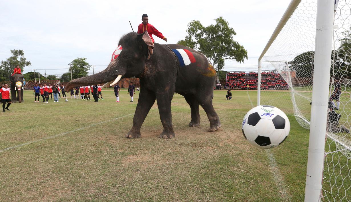 Foto Sambut Piala Dunia Gajah Di Thailand Ikut Main Bola Bola Liputan6 Com