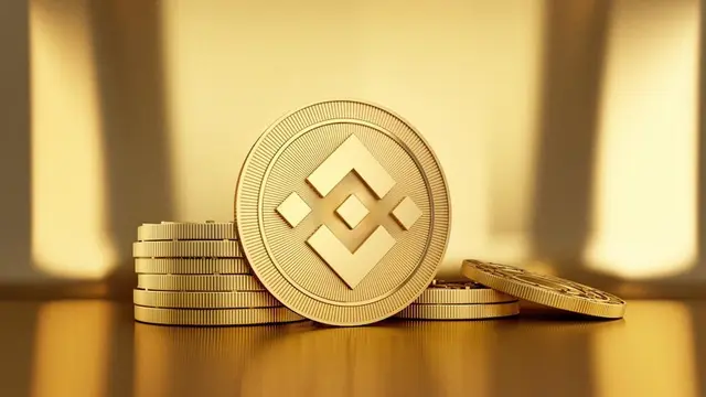 Harga Crypto BNB Coin