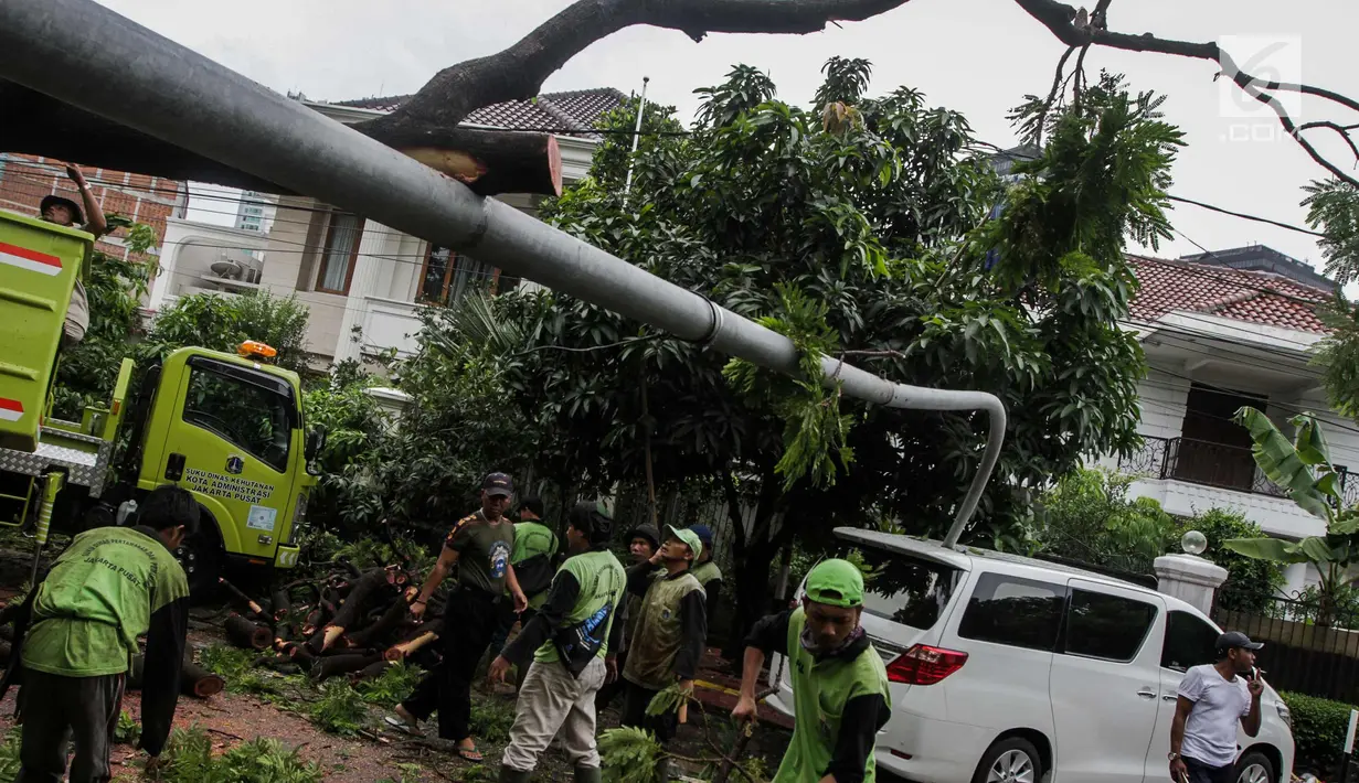 Sebuah mobil tertimpah lampu jalanan di kawasan jalan purworejo Menteng, Jakarta, Senin (27/11). Akibat hujan deras dan angin kencang sebuah pohon tumbang dan lampu jalan mengenai mobil Alphard putih yang terparkir. (Liputan6.com/Faizal Fanani)