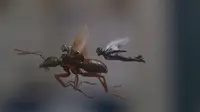 Gara-Gara Piala Dunia, Negara Ini Undur Jadwal Tayang Ant-Man and the Wasp