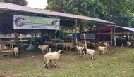  Liputan6.com/Arief RH)