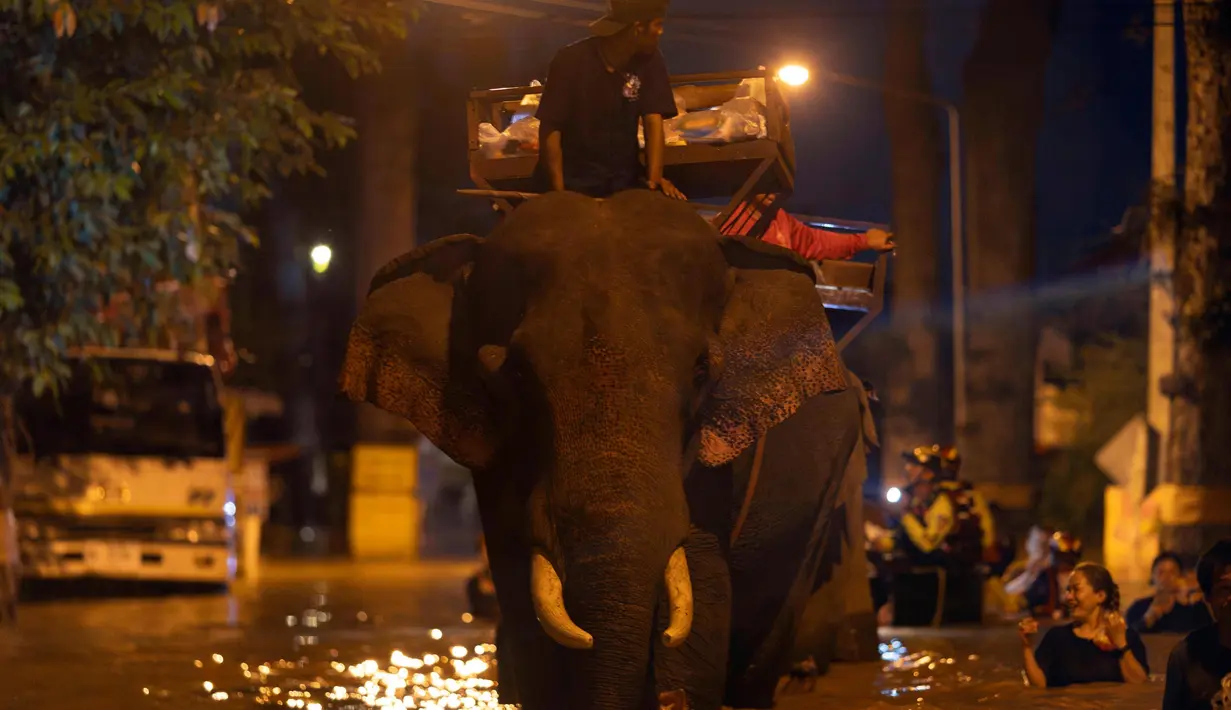 Media setempat melaporkan, upaya untuk mengevakuasi gajah dan hewan lain dari beberapa tempat perlindungan dan taman di pinggiran kota terus berlanjut. (AP Photo/Wason Wanichakorn)