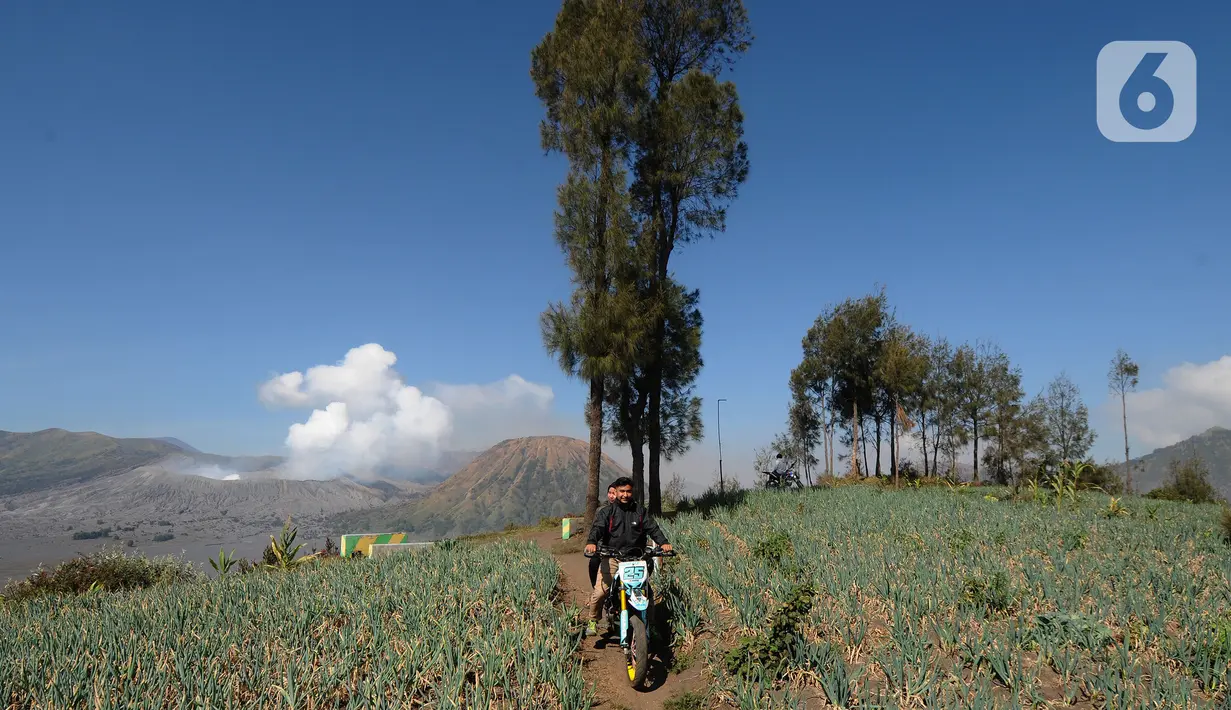 Pengendara motor melintasi  areal pertanian berlatar belakang kaldera Gunung Bromo di kawasan Cemoro Lawang, Probolinggo, Jawa Timur, Kamis (9/9/2021).  Kawasan kaldera Gunung Bromo dan hamparan pasir yang masih ditutup karena pemberlakuan PPKM Darurat. (merdeka.com/Arie Basuki)