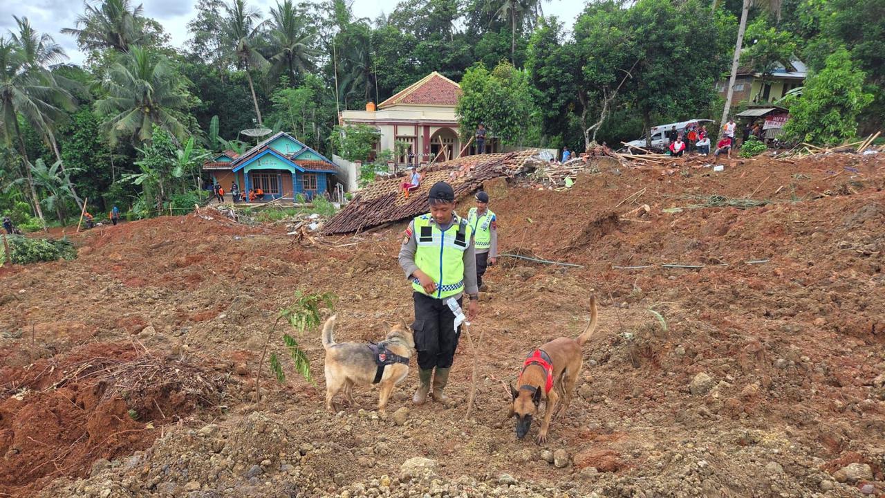 Potret Anjing Pelacak Polri, Dikerahkan untuk Pencarian Korban Longsor Cilacap