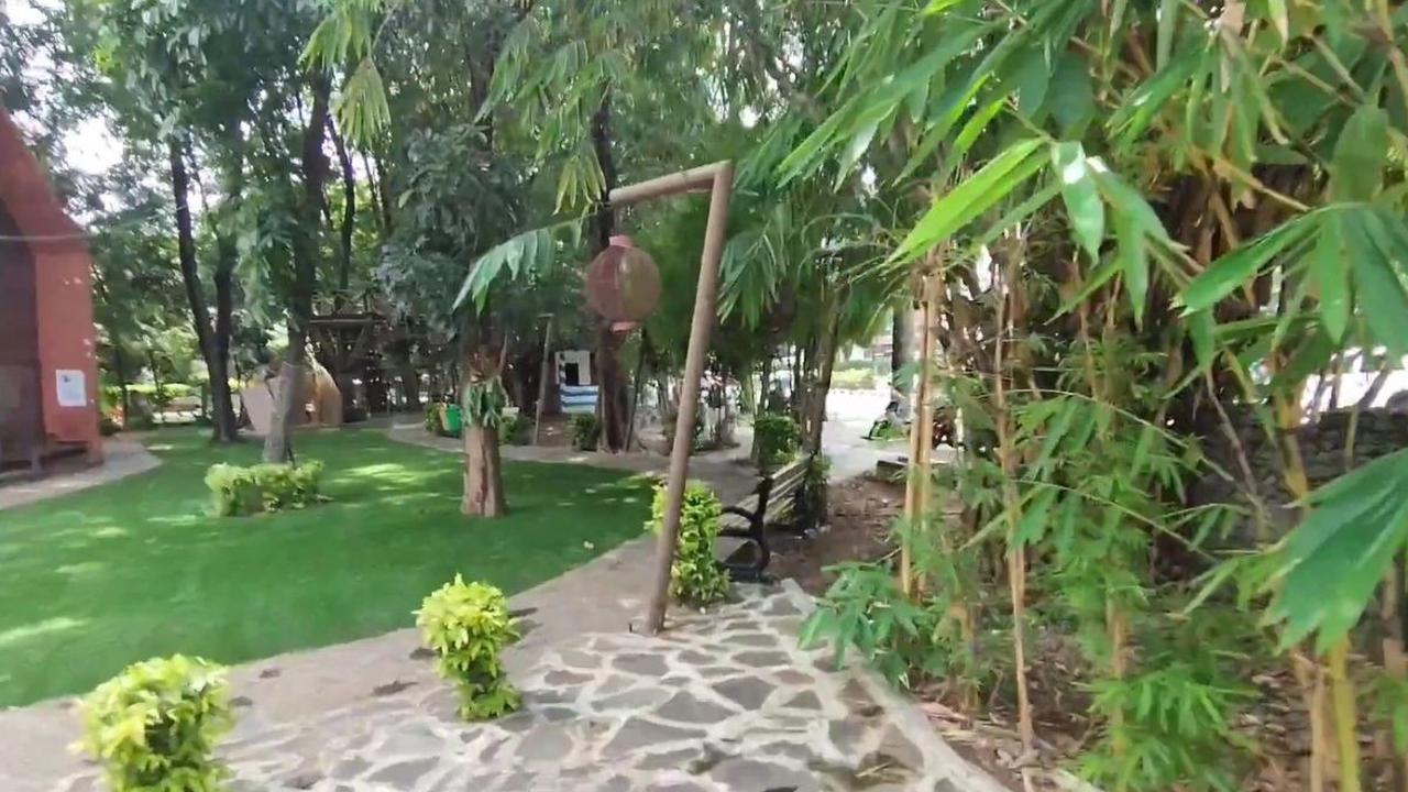 Mengenal Jenis-jenis Bambu