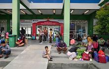 Puncak Arus Balik Lebaran Pelni Palu Capai 2.888 Penumpang, Rute Favorit Balikpapan-Surabaya