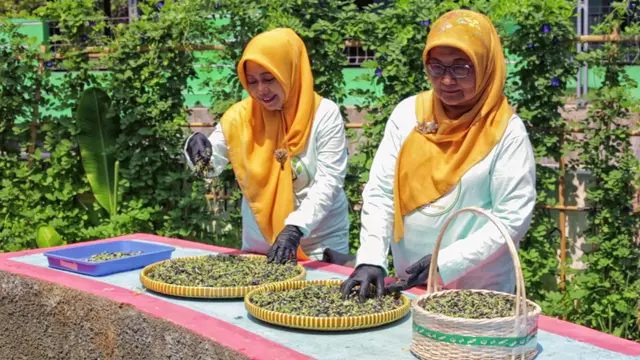 Jalankan Urban Farming dengan Dukungan ‘BRInita’, Teh Herbal Jadi Produk Unggulan Poktan Bensor di Semarang