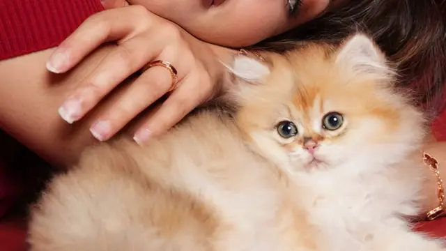 Adopsi Anabul, Tasya Farasya Tampil Totalitas dengan Makeup Glow Glam dan Full Lips