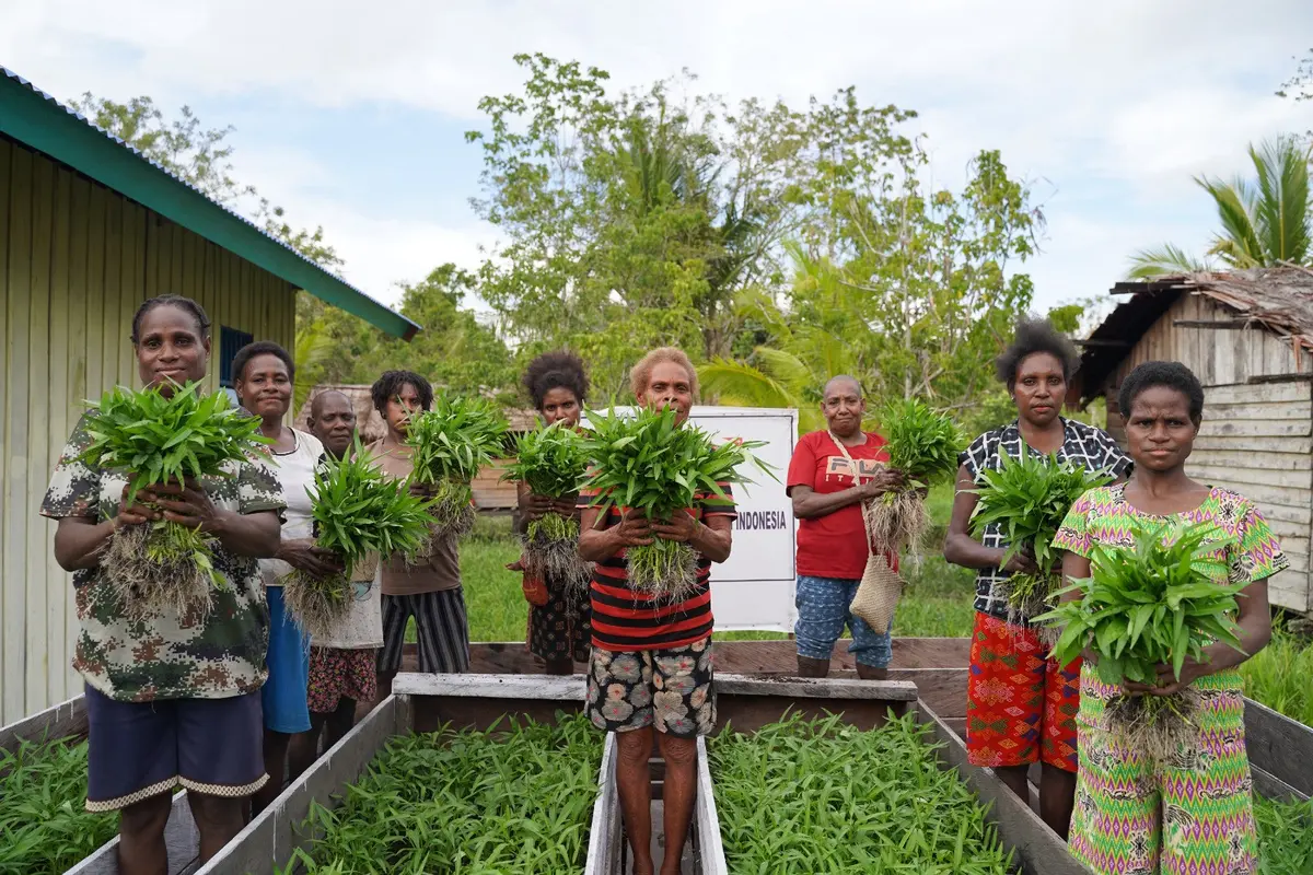Namun di tengah krisis iklim yang makin nyata, harapan baru warga Asmat  mulai tumbuh di atas air. Lewat program From Floating Farm to Table (FF2T) mereka bisa mengupayakan pangan di atas air.