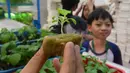 Tempat ini didesain untuk pelajar dan masyarakat umum mempelajari sistem pertanian hidroponik modern, mulai dari persemaian hingga memanen sayur langsung di tempat. Tampak dalam foto, pelajar dari salah satu sekolah dasar menyimak penjelasan terkait pola dan sistem pertanian hidroponik di Ladang Farm, Lebak Bulus, Jakarta, Kamis (30/4/2026). (merdeka.com/Arie Basuki)
