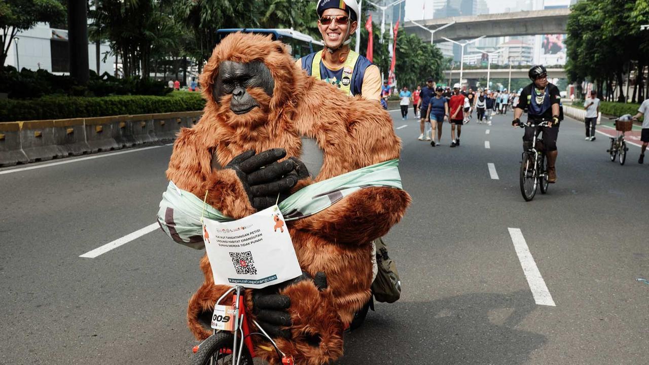 FOTO: Gowes Berkostum Orangutan di Jakarta, Seruan untuk Selamatkan Habitat Satwa Langka