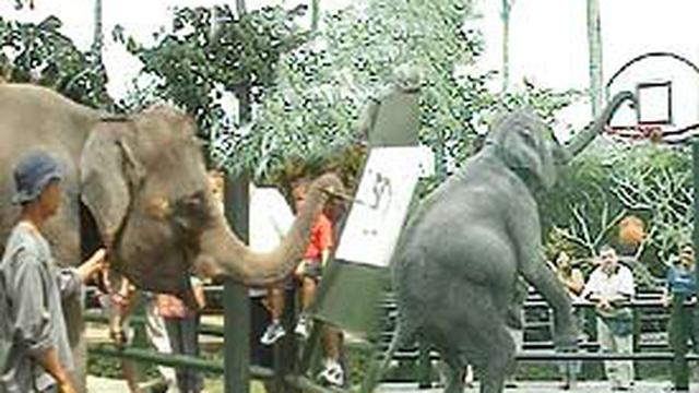 Taman Gajah Gianyar Wisata Alternatif Yang Mahal News