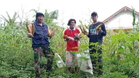 Difabel Bertani, Kegiatan di Malang yang Ajak Penyandang Disabilitas Geluti Dunia Pertanian. Foto: Linksos.