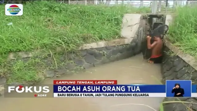 Kemiskinan membuat seorang bocah lelaki berusia 8 tahun tak pernah mengenyam bangku sekolah. Selain itu, sejak 3 tahun terakhir sang bocah ini harus merawat kedua orang tuanya yang mengalami depresi berat dan harus mengerjakan seluruh pekerjaan rumah...