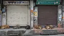 Anjing jalanan tidur di pasar saat toko-toko tetap tutup karena pandemi COVID-19 di Dharmsala, India, Rabu (5/5/2021). Pemerintah India menghadapi seruan penguncian ketat atau lockdown nasional secara total untuk memperlambat gelombang besar infeksi virus corona. (AP Photo/Ashwini Bhatia)