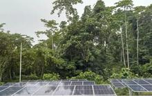 Inovasi Pertamina Patra Niaga Hadirkan Energi Terbarukan Berbasis Masyarakat