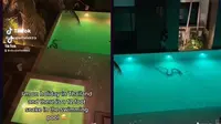 Viral Penampakan Ular di Kolam Renang Hotel Ini Bikin Merinding (sumber: TikTok/@elisabethelektra)