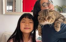 Relakan Semua Barang yang Dijarah, Astrid Kuya Berharap Kucingnya yang Hilang Dikembalikan