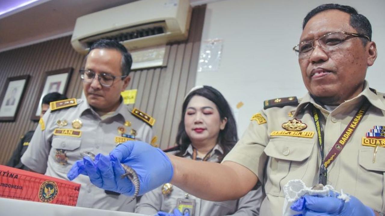 Barantin Gagalkan Penyelundupan Satwa Liar dari Thailand di Bandara Soekarno-Hatta