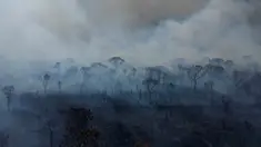 Asap mengepul dari kebakaran di kawasan hutan lindung lingkungan di Taman Nasional Brasilia selama musim kemarau di dekat Brasilia, Brasil, Senin 16 September 2024. (AP Photo/Eraldo Peres)