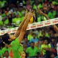 Pevoli putri Jakarta Pertamina Energi, Asih Titi P (kiri) mencoba menahan smesh pemain Jakarta BNI 46, Devota SR di Pertamina Proliga 2015, GOR Dome Balikpapan, (8/2/2015). Jakarta Pertamina Energi unggul 3-0. (Liputan6.com/Helmi Fithriansyah)