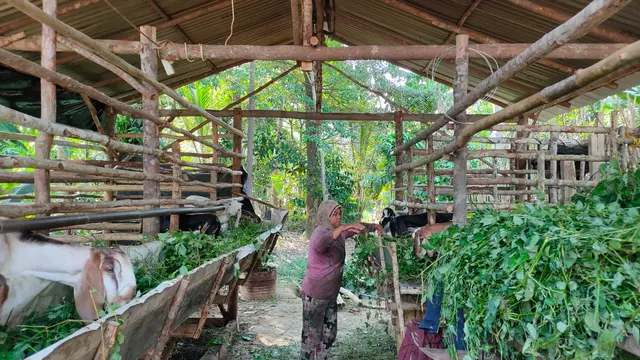 Para Perempuan Cawang Gumilir, Tergusur dan Bertahan di Tengah Ketidakpastian (1)