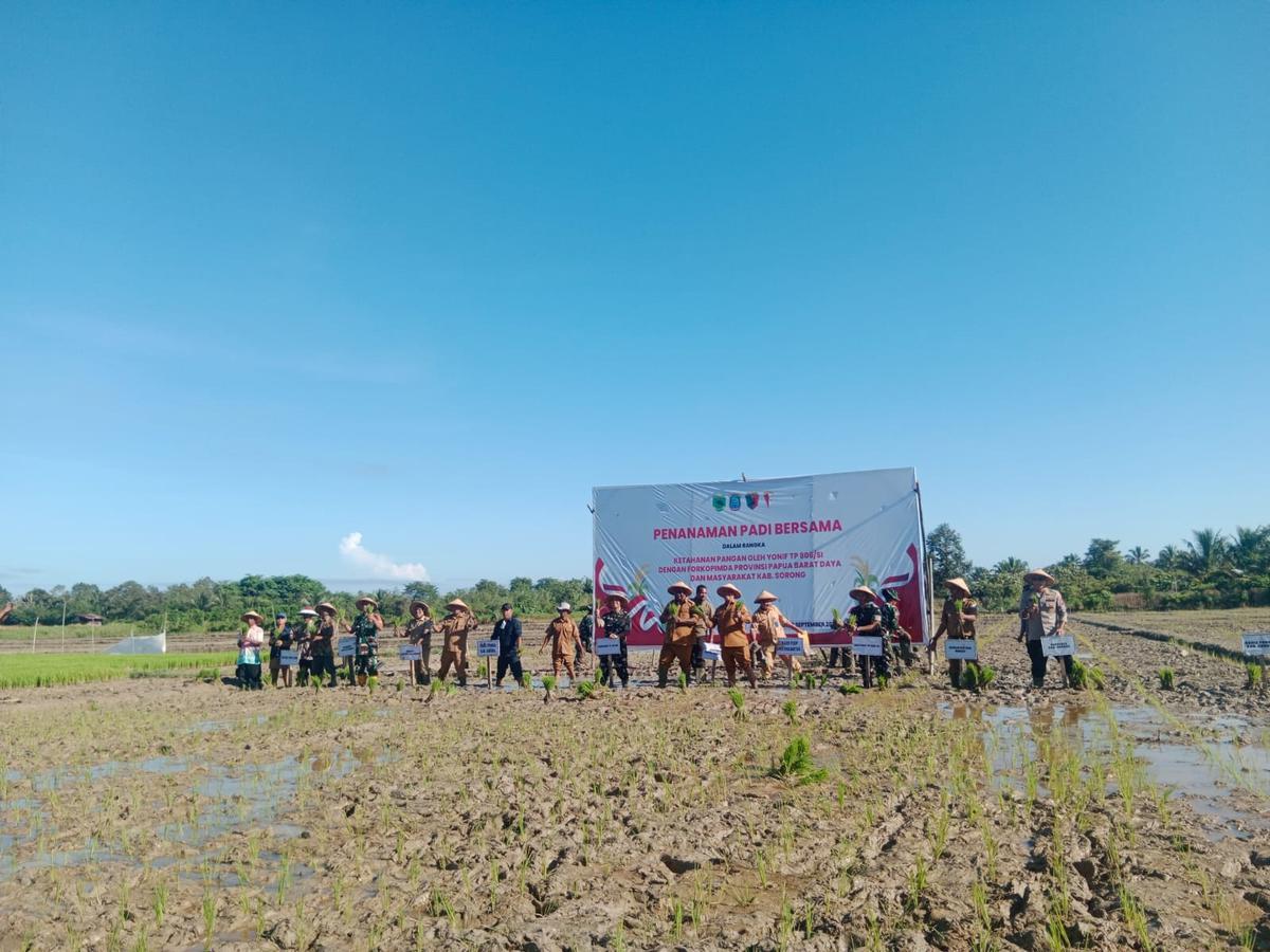 Yonif TP 806/SI bersama Forkopimda Provinsi Papua Barat Daya dan Masyarakat Kabupaten Sorong melakukan penanaman padi bersama