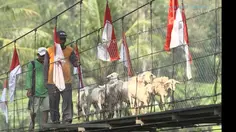 Seskab Teddy Beberkan Progres Pembangunan 2.500 Jembatan