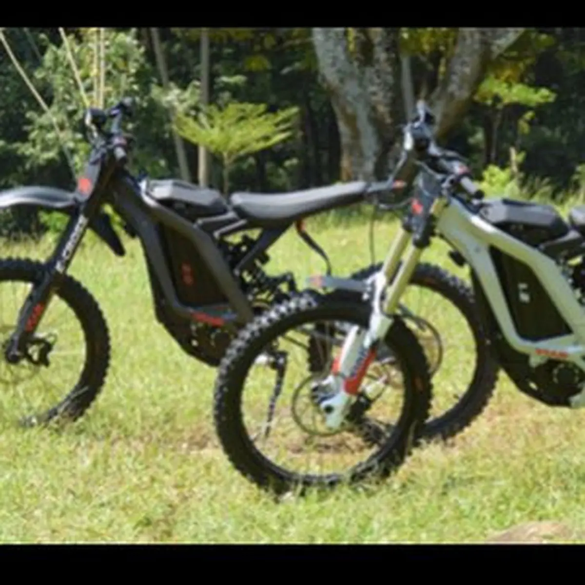 Viar e bike online