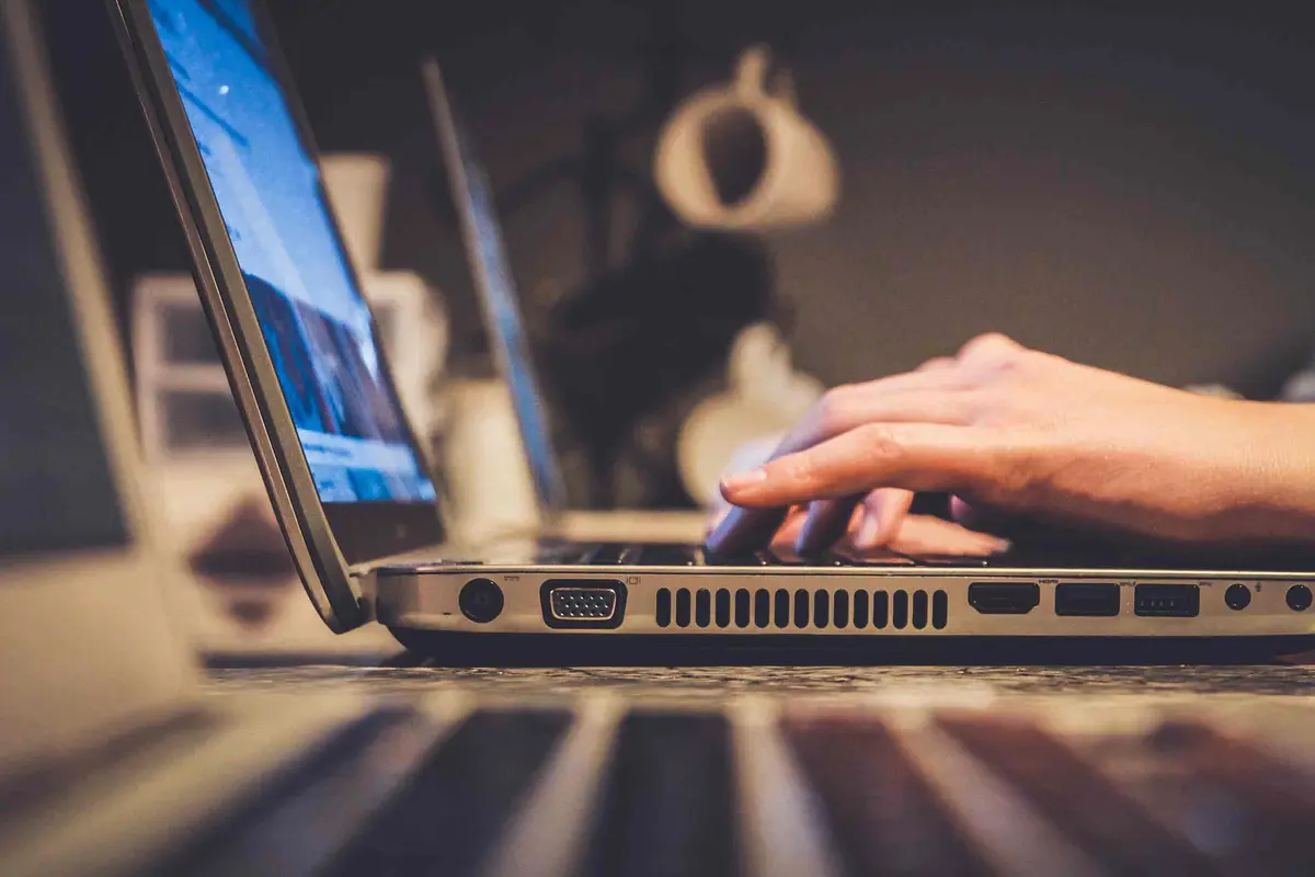 Ilustrasi Belanja Tanaman Hias Online