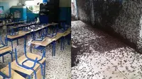 Lama Tak Berpenghuni, Begini Potret Sekolah yang Dipenuhi Jangkrik